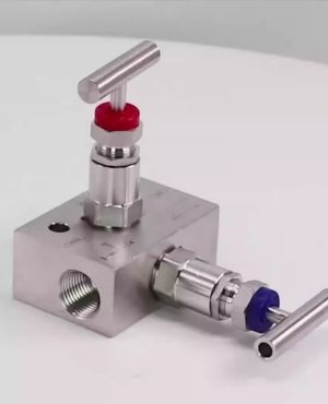 2 Valve Manifold R Type