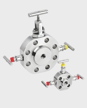 Monoflange Double Block & Bleed Valve