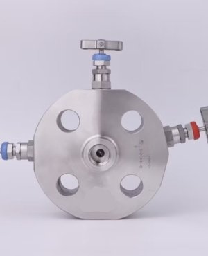 Monoflange Single Isolation Valve