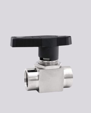 Stainless Steel Double Block And Bleed Gate Valve