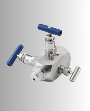 Stainless Steel Instrument Double Block and Bleed Valve